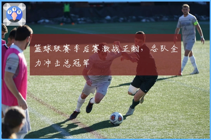 篮球联赛季后赛激战正酣，各队全力冲击总冠军