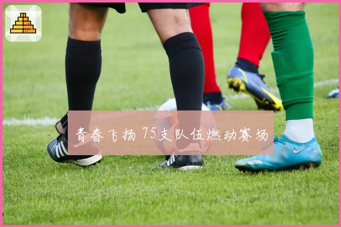 青春飞扬 75支队伍燃动赛场